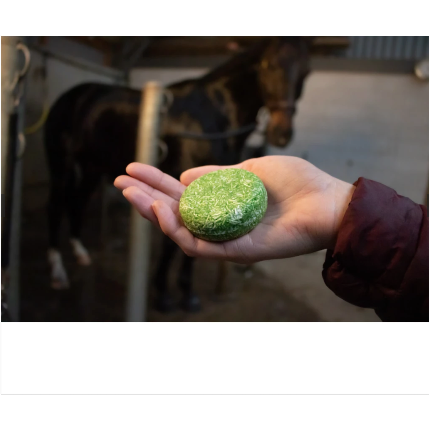 Excellent Horse Hi Gloss Shampoo Bar