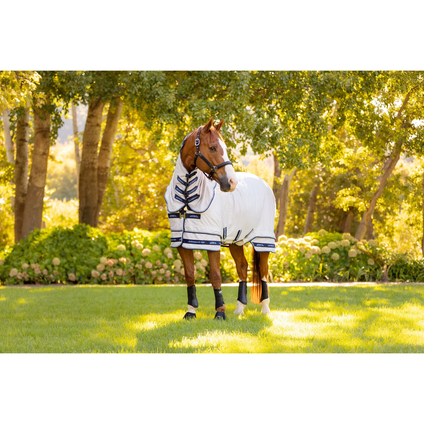 LMX Armour-Tek Fly Rug