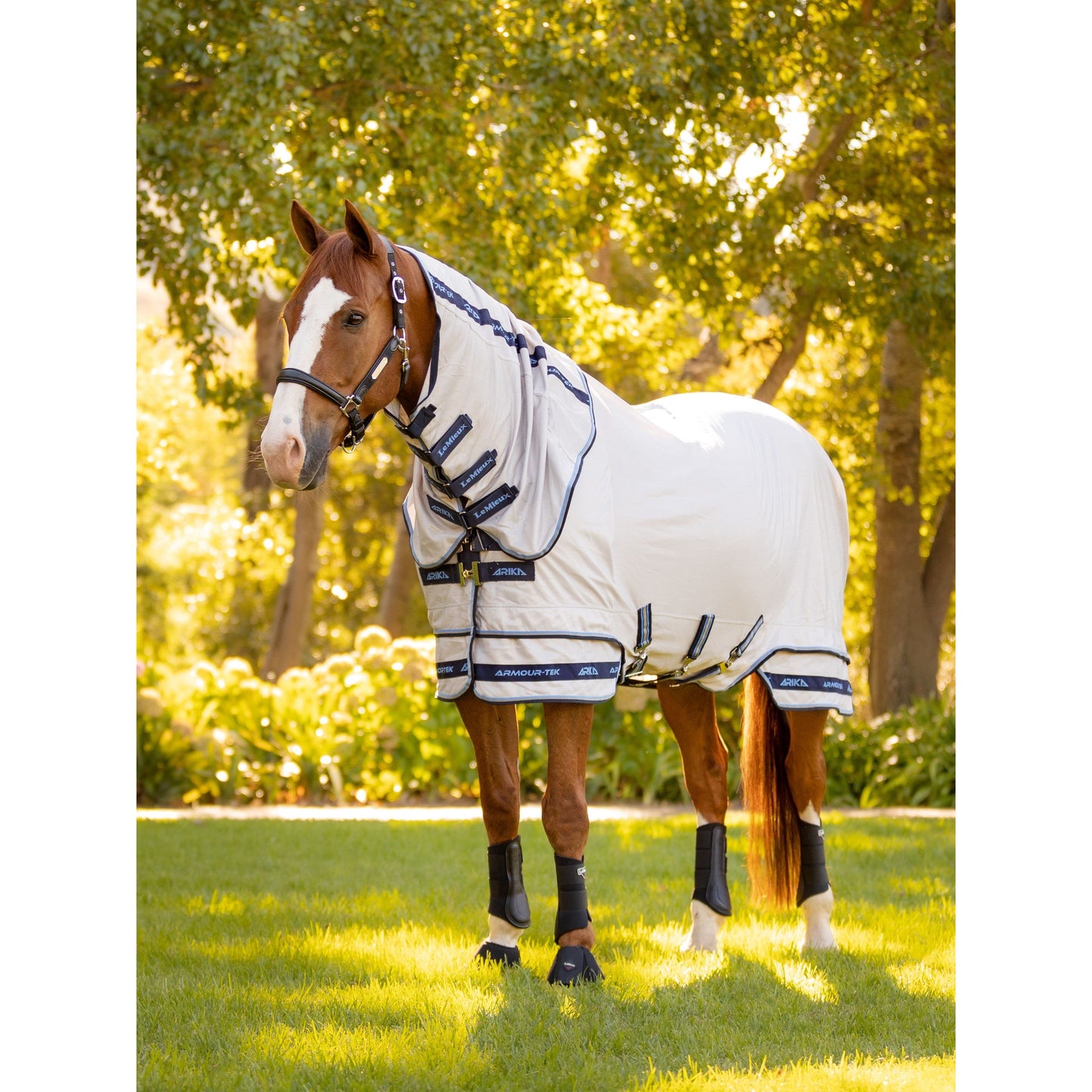 LMX Armour-Tek Fly Rug