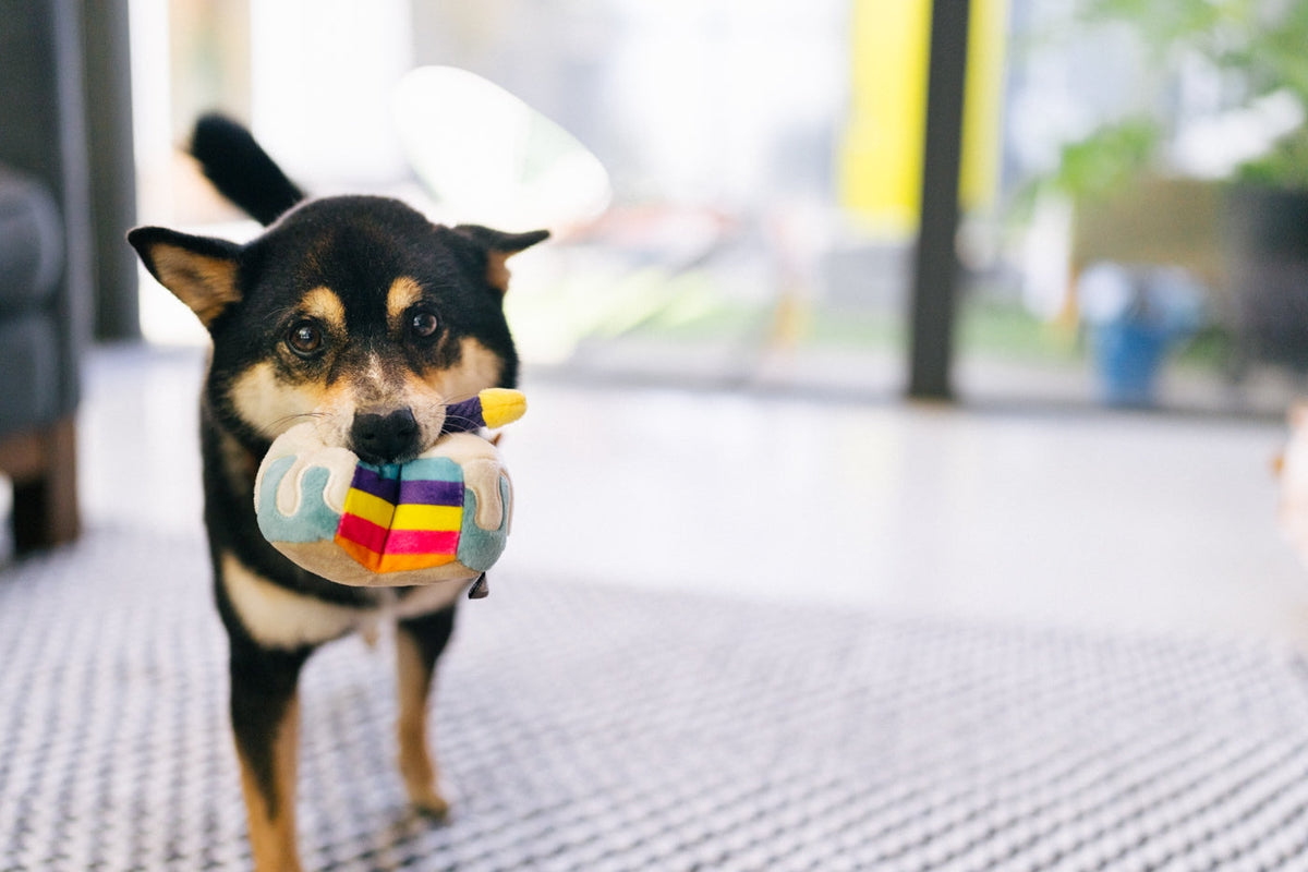 P.L.A.Y. Mini Party Time Bone-Appetite Cake Spielzeug Für Kleine Hunde
