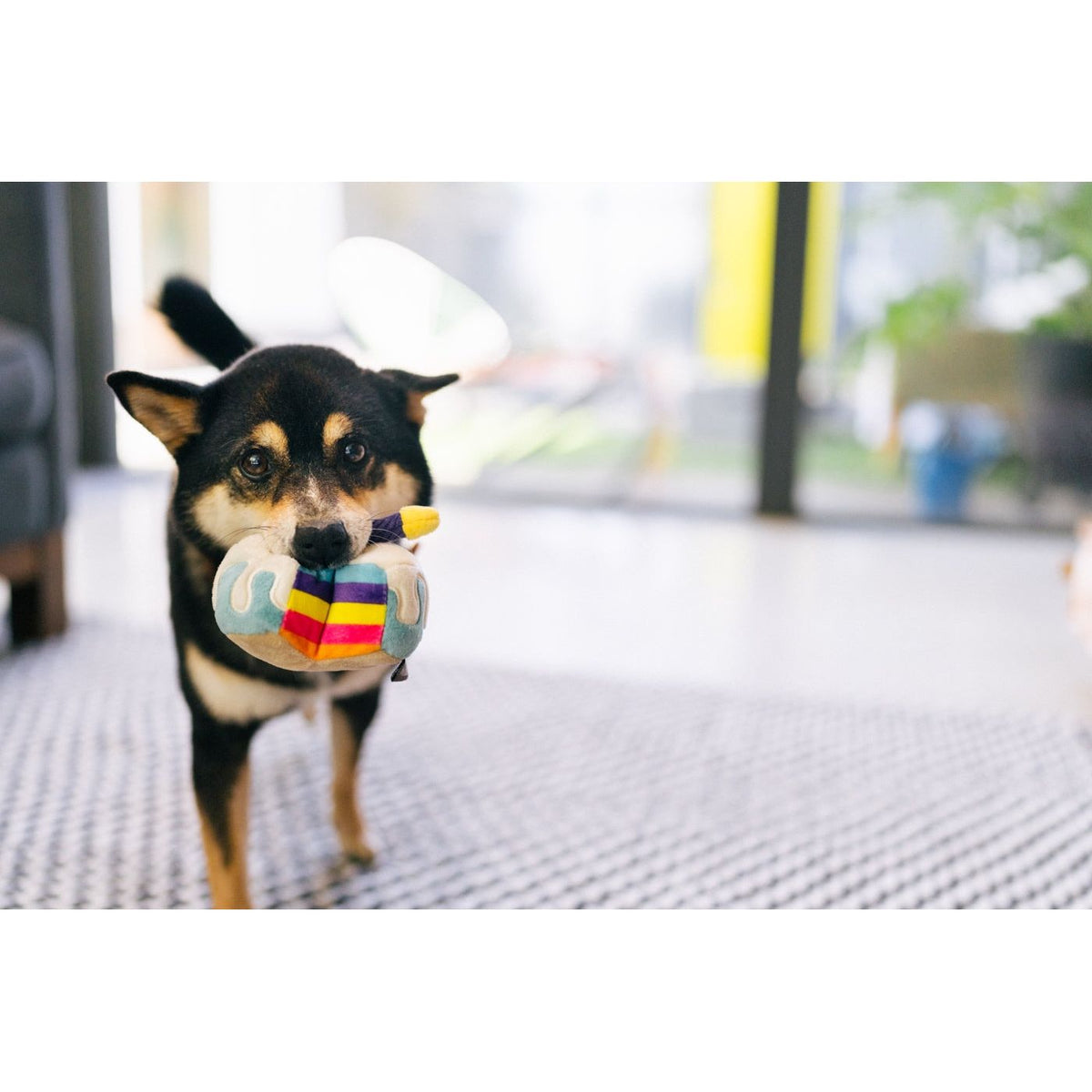 P.L.A.Y. Mini Party Time Bone-Appetite Cake Spielzeug Für Kleine Hunde