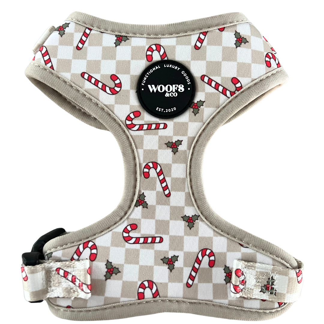 Geschirr – Jolly Woofs Kollektion