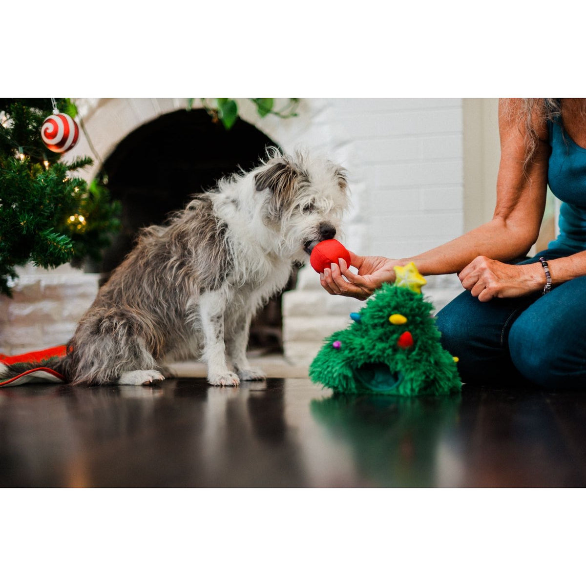 P.L.A.Y. Fröhliche Woofnachten Doglas Fur