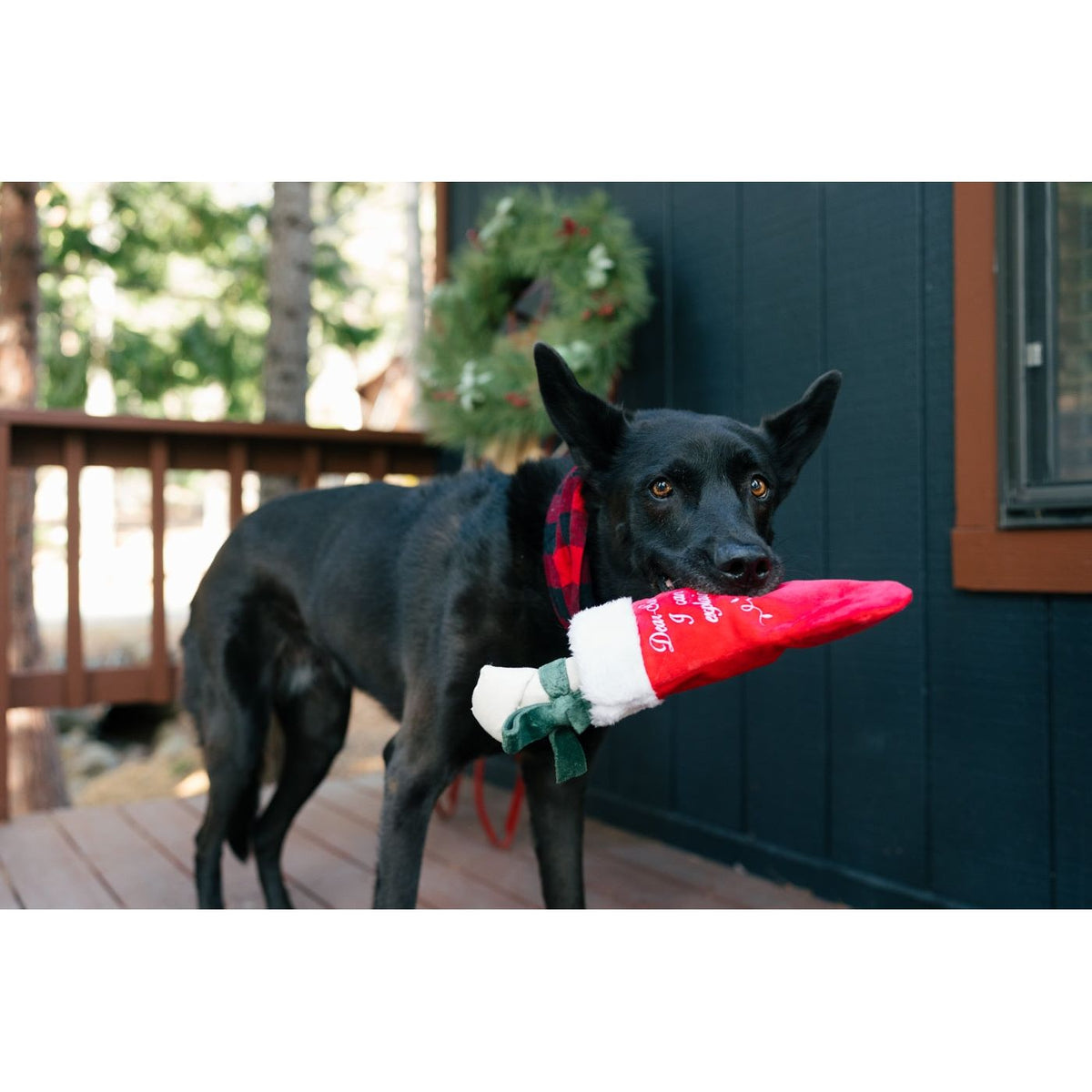 P.L.A.Y. Fröhliche Woofmas Gute Hundestrumpf