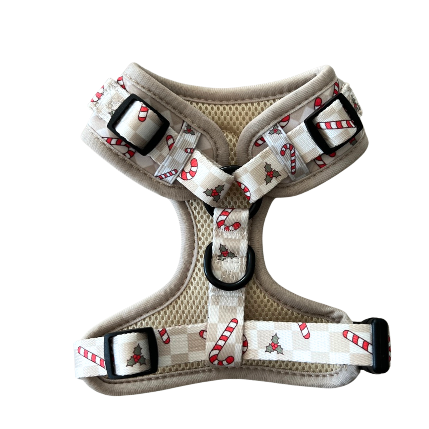 Geschirr – Jolly Woofs Kollektion