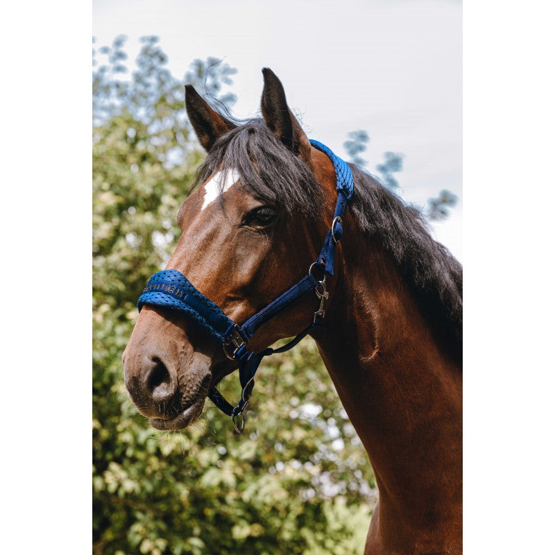Dark Slate Gray EQUITHÈME Nylonhalfter – 3D Mesh