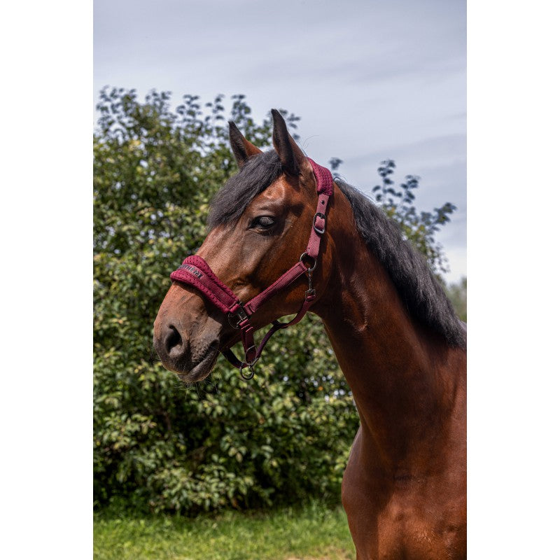 Dark Slate Gray EQUITHÈME Nylonhalfter – 3D Mesh