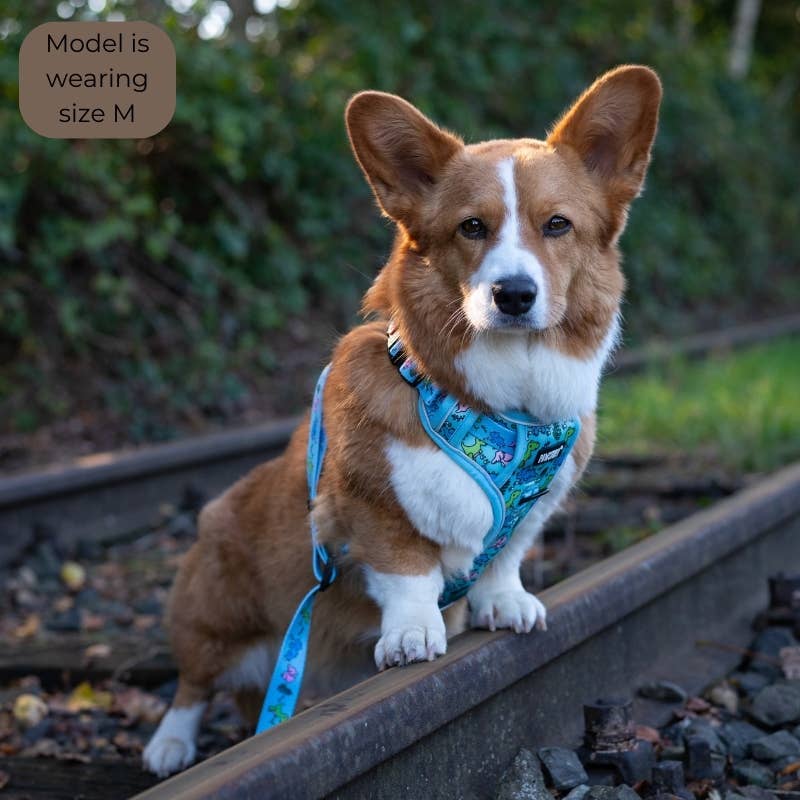 PawStory - Trail Buddy Harnass - Funky Dino