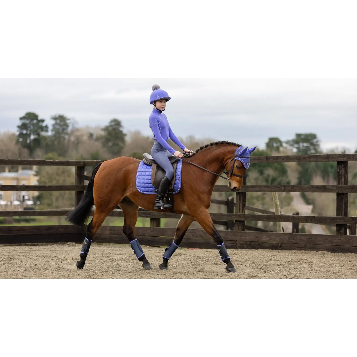 LeMieux Junior Loire Dressage Square Bluebell