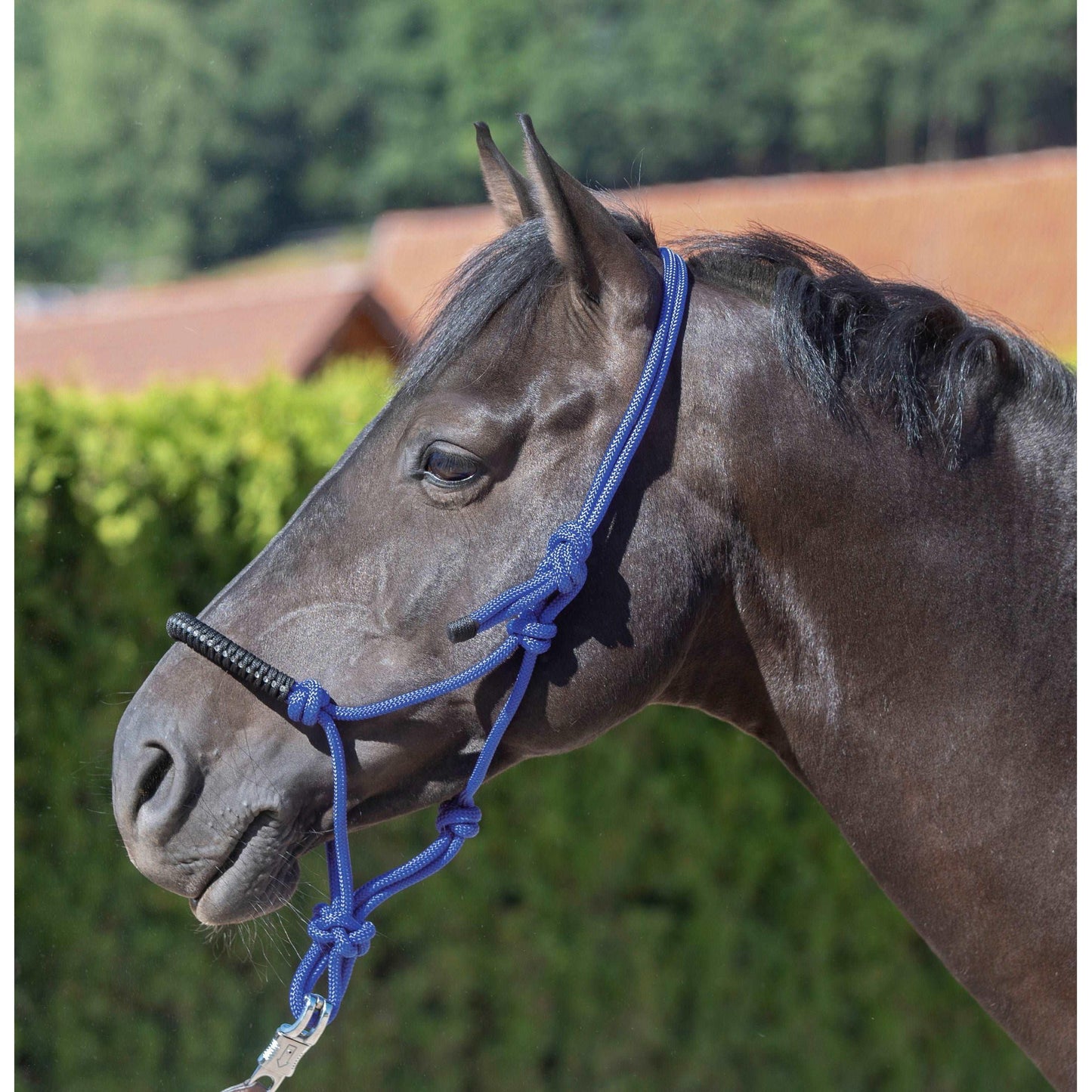 Knotenhalfter Glitzersteine