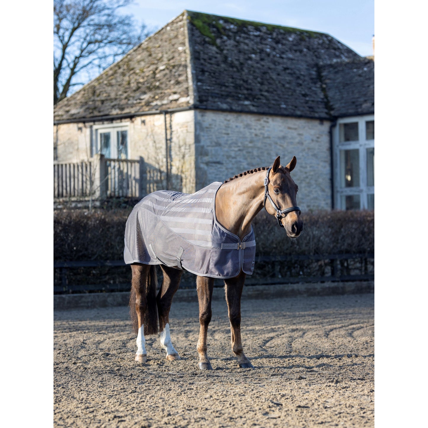 LMX Arika Air-Tek Rug