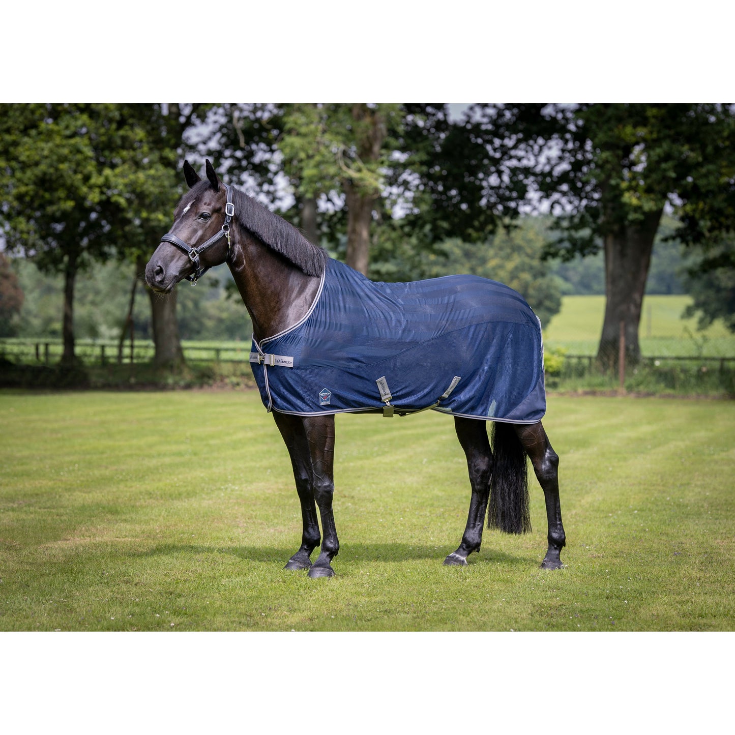 LMX Arika Air-Tek Rug