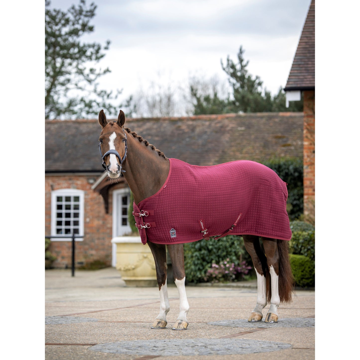 LMX Arika Clima-Tek Rug