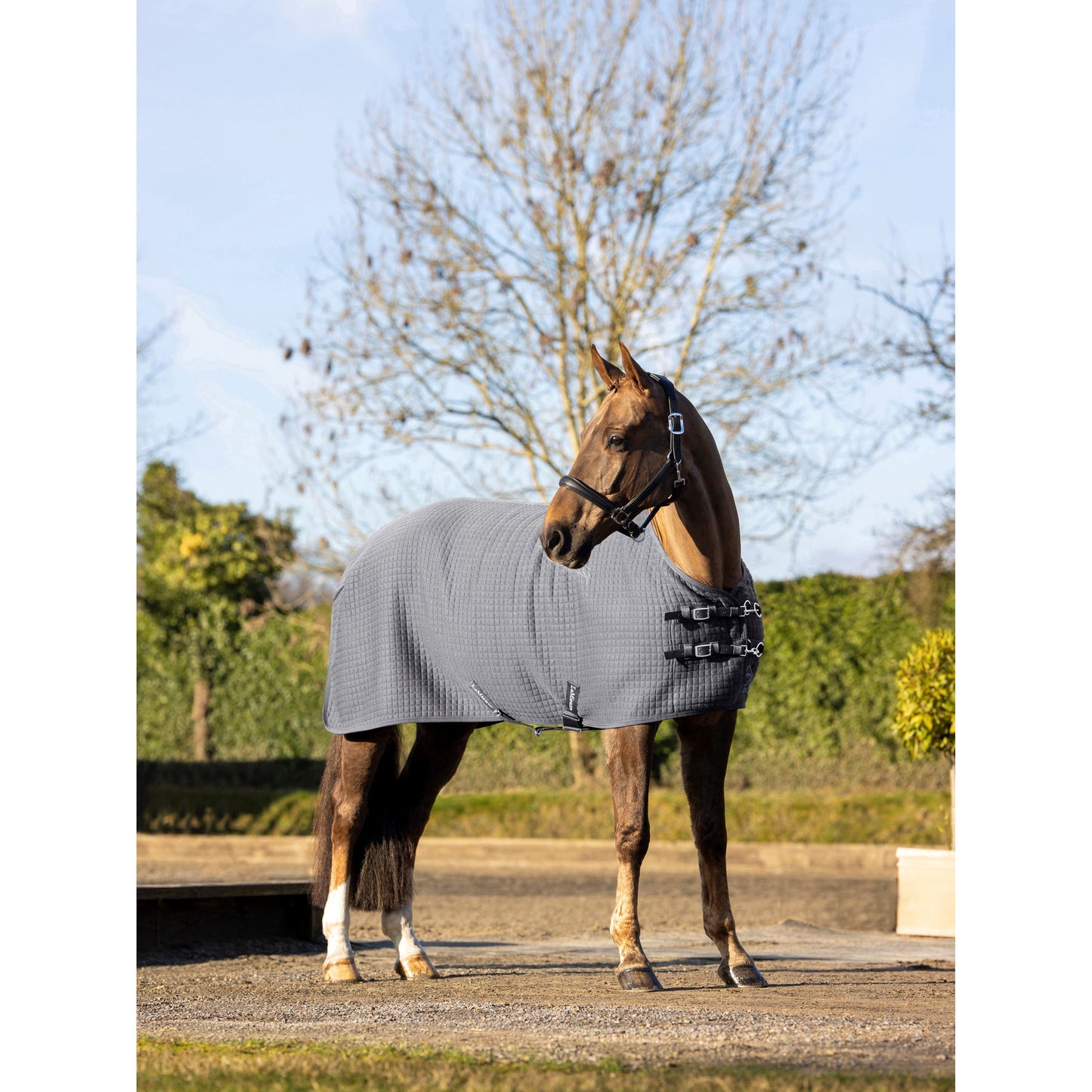 LMX Arika Clima-Tek Rug