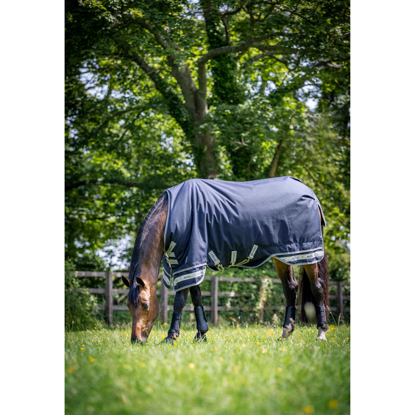 LMX Arika Storm-Tek Turnout Rug