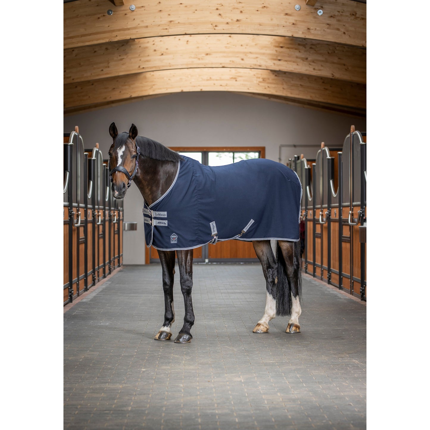 LMX Arika Stable Sheet