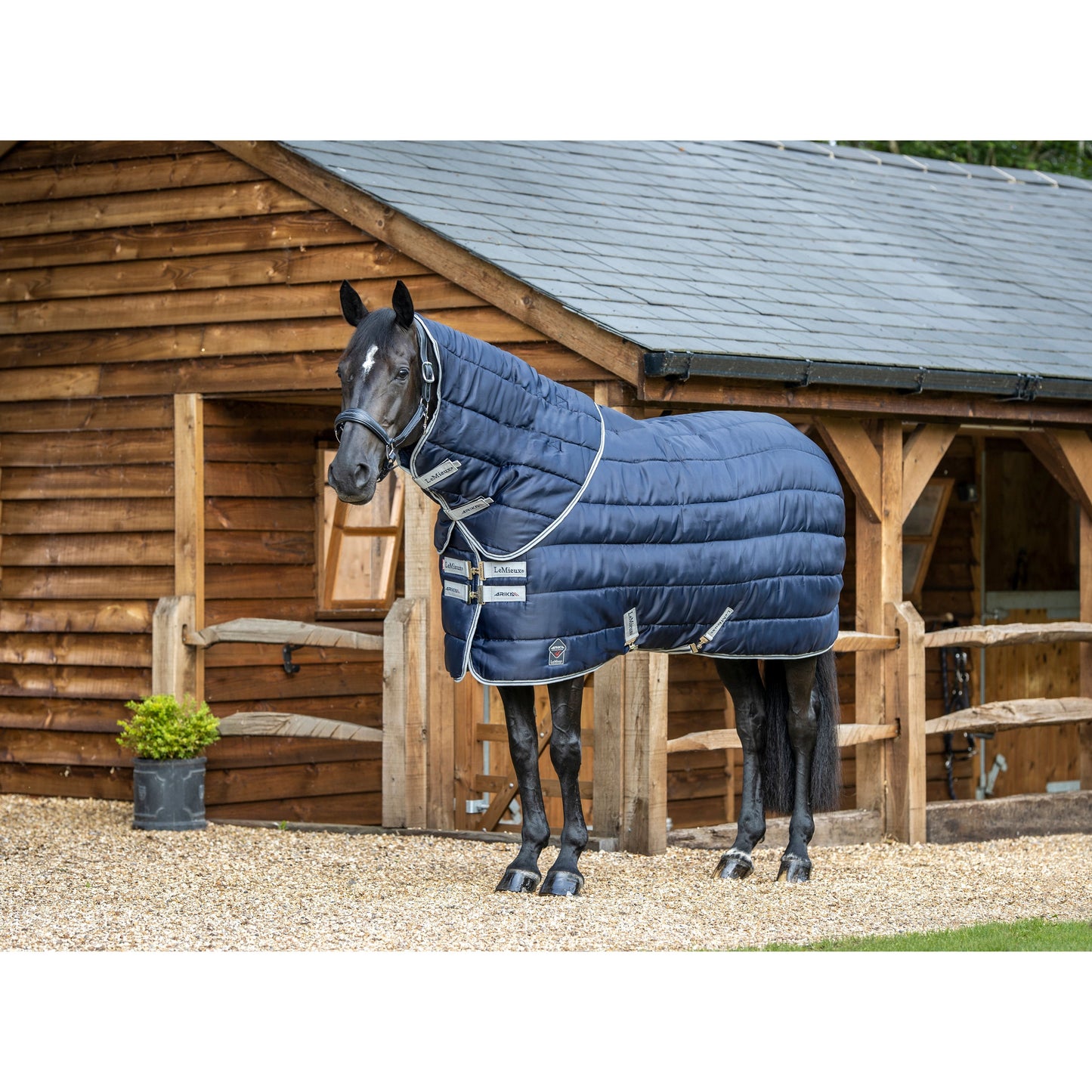 LMX Arika Stable Tek Rug
