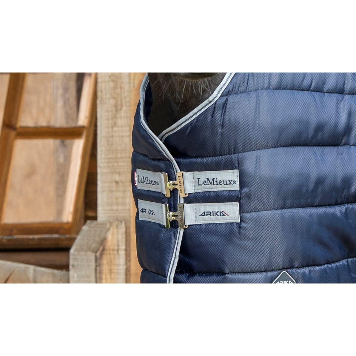 LMX Arika Stable Tek Rug