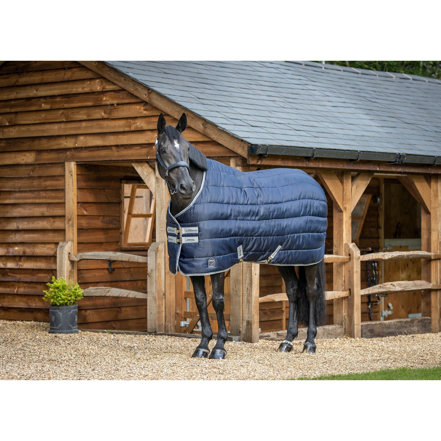 LMX Arika Stable Tek Rug