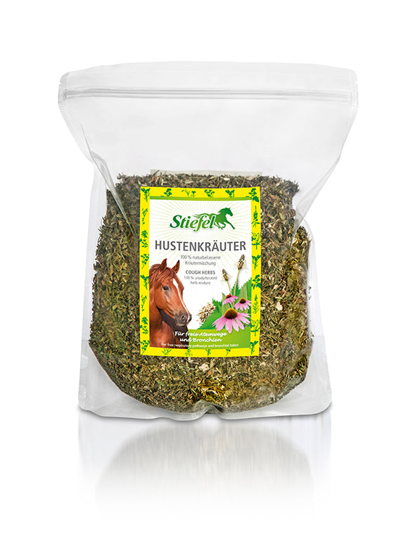 Kräuter