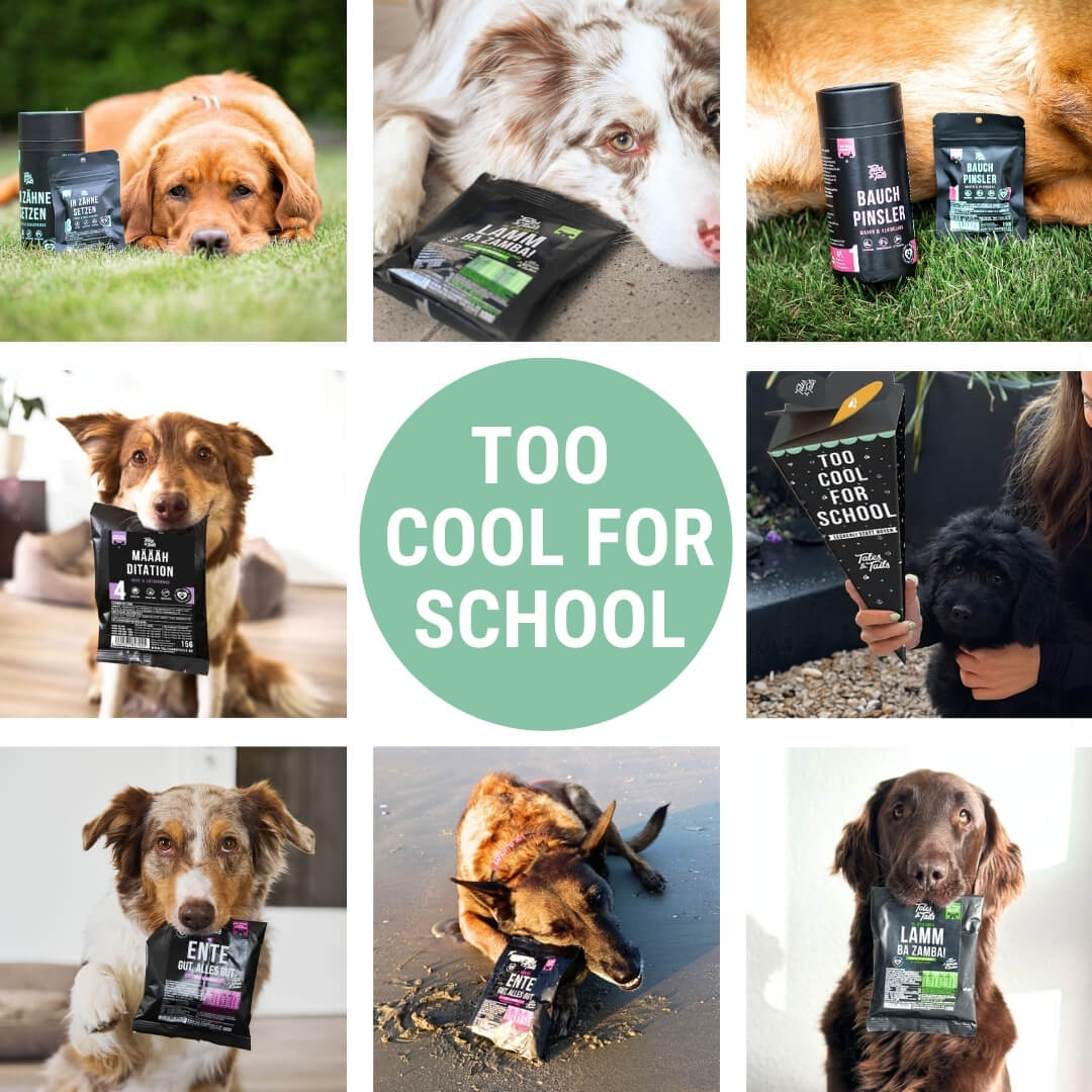 Tales & Tails Hundeschultüte