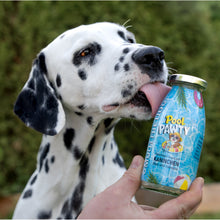 Hundesmoothie Summer-Edition Pool Pawty