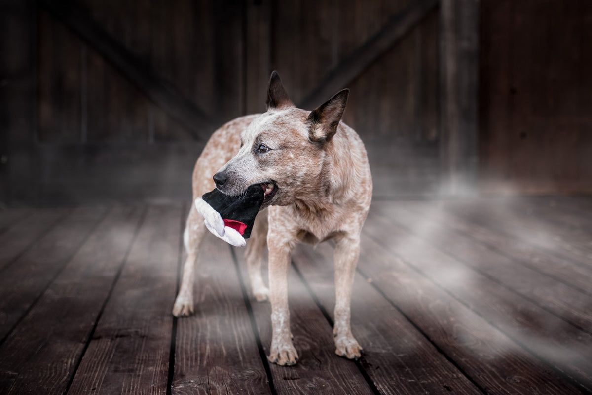 P.L.A.Y. Heulende Spukorte Barkys Biss