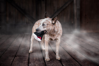 P.L.A.Y. Heulende Spukorte Barkys Biss