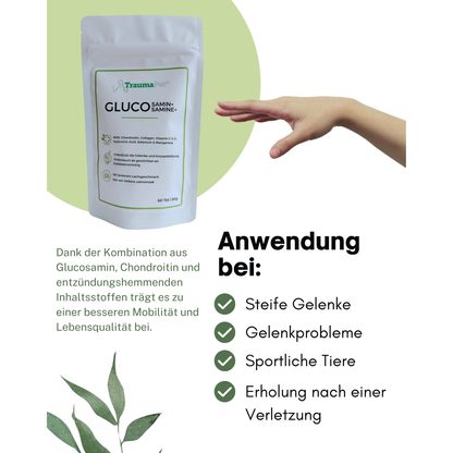 TraumaPet 🐾 Glucosamin+