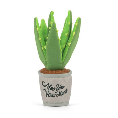 P.L.A.Y Blühende Kumpel Aloe-Ve You Pflanze