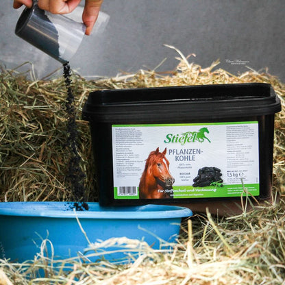 Dark Slate Gray Stiefel Pflanzenkohle, 1.5 kg
