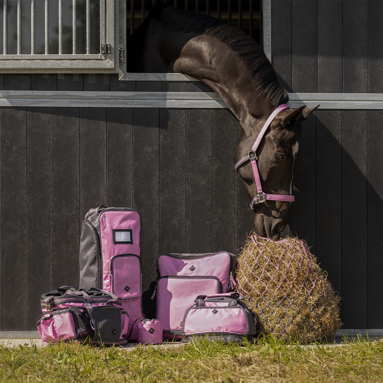 QHP Halfter-Set mit Turnout Collection
