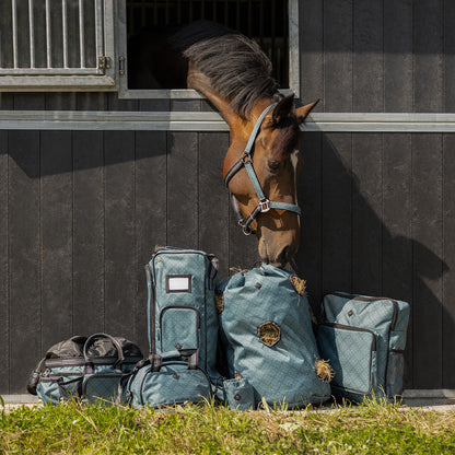 QHP Halfter-Set mit Turnout Collection
