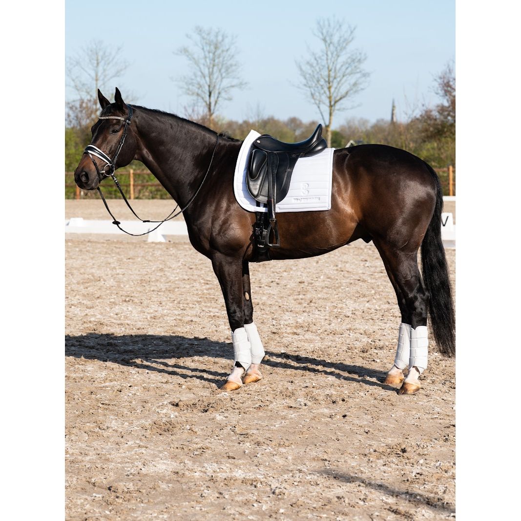 Light Gray PS of Sweden Premium Training Hind Boots 2-pack