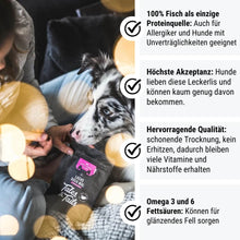 Tales & Tails Lachs doch Mal Fisch Leckerli