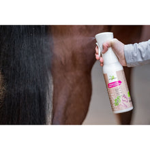 Dark Slate Gray Bense & Eicke Natural Finish