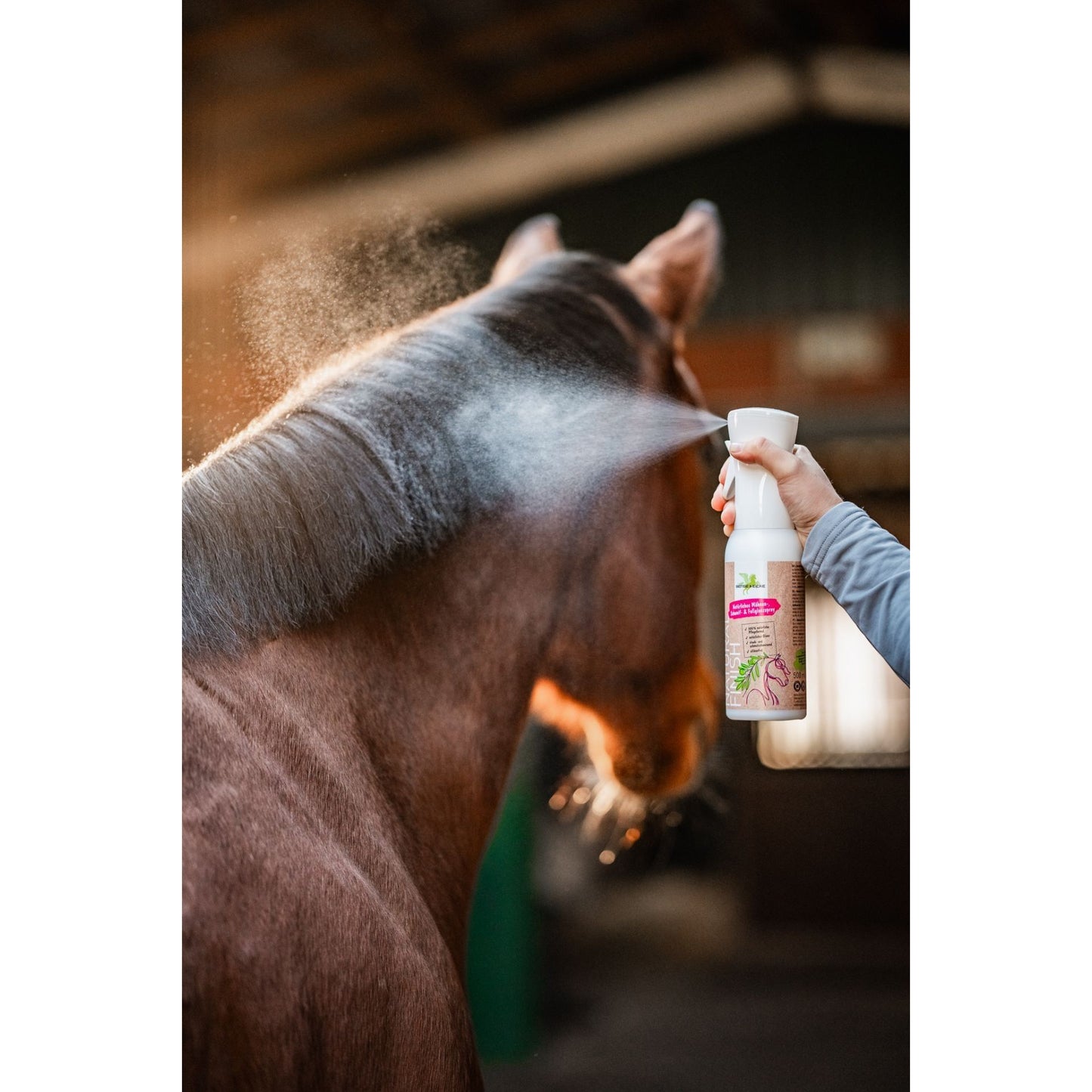 Dark Slate Gray Bense & Eicke Natural Finish