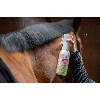 Dark Slate Gray Bense & Eicke StarFinish *parfümfrei* 500 ml