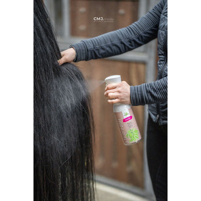 Dark Slate Gray Bense & Eicke StarFinish *parfümfrei* 500 ml