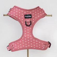 Hundegeschirr Love Is In The Air