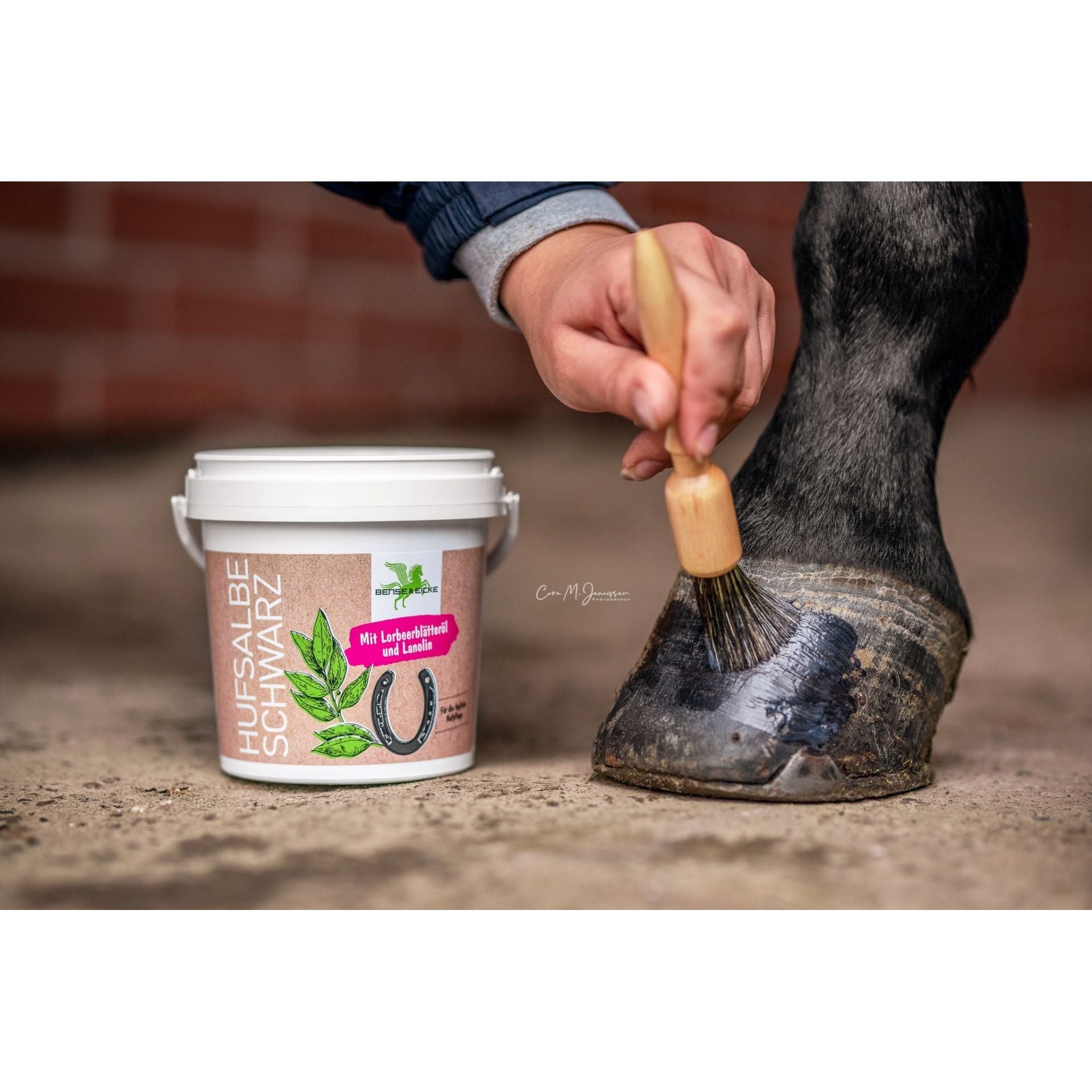 Dim Gray Bense & Eicke Hufpinsel "PinselPiet"