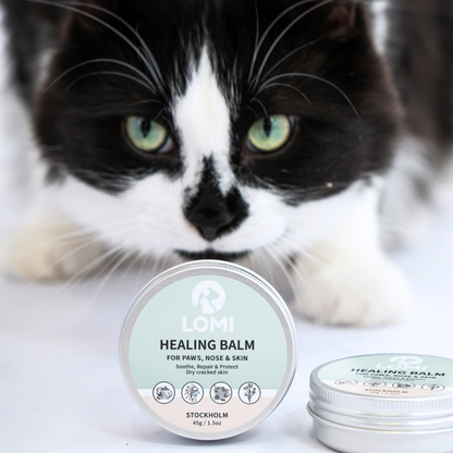 Lomi Pets Healing Balsam