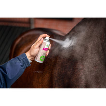 Bense & Eicke Silberspray 200ml