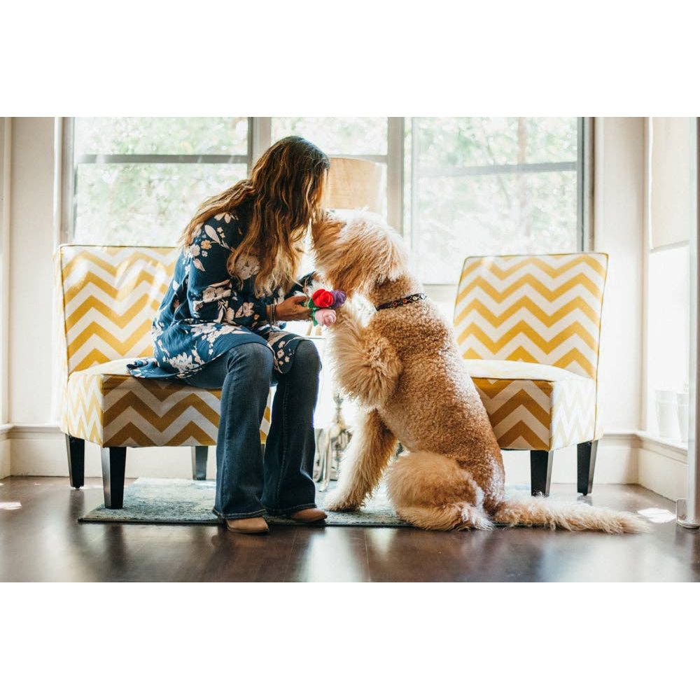 Welpenliebe Rovers Rosen