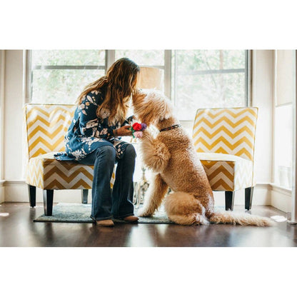 Welpenliebe Rovers Rosen