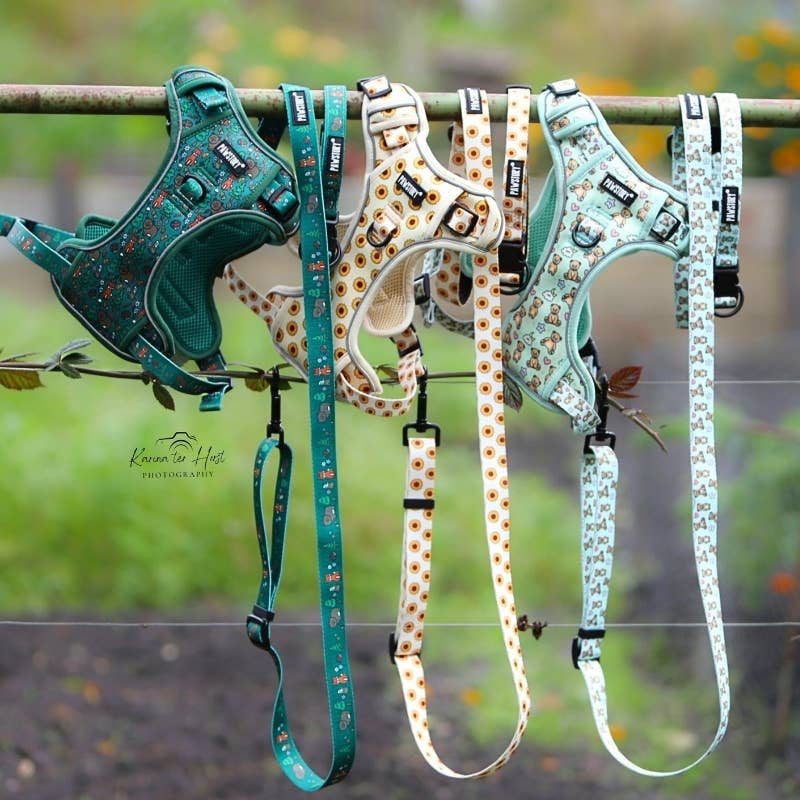 PawStory - Trail Buddy Harnass - Kleiner Abenteurer