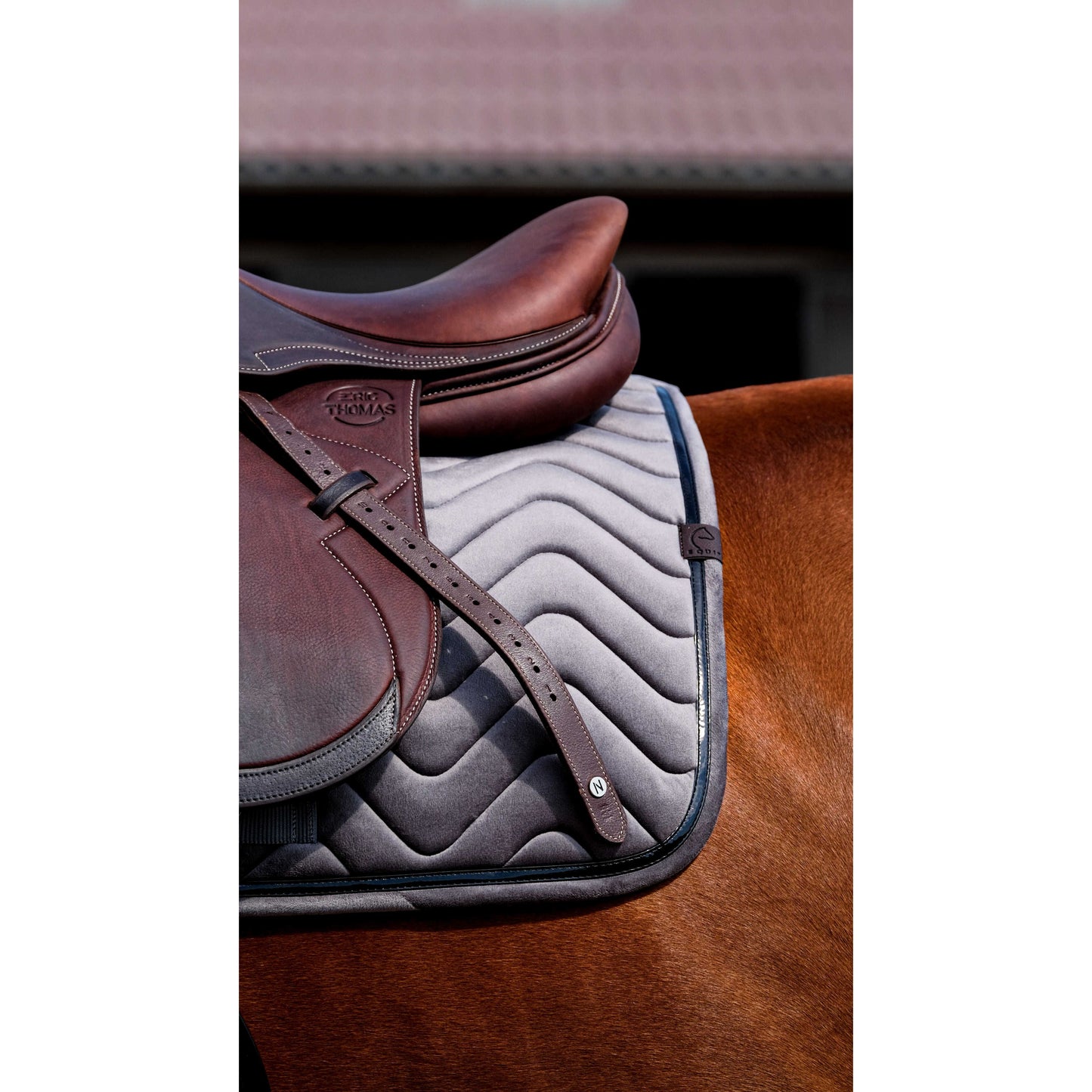Dim Gray EQUITHÈME Schabracke - Glossy - VS