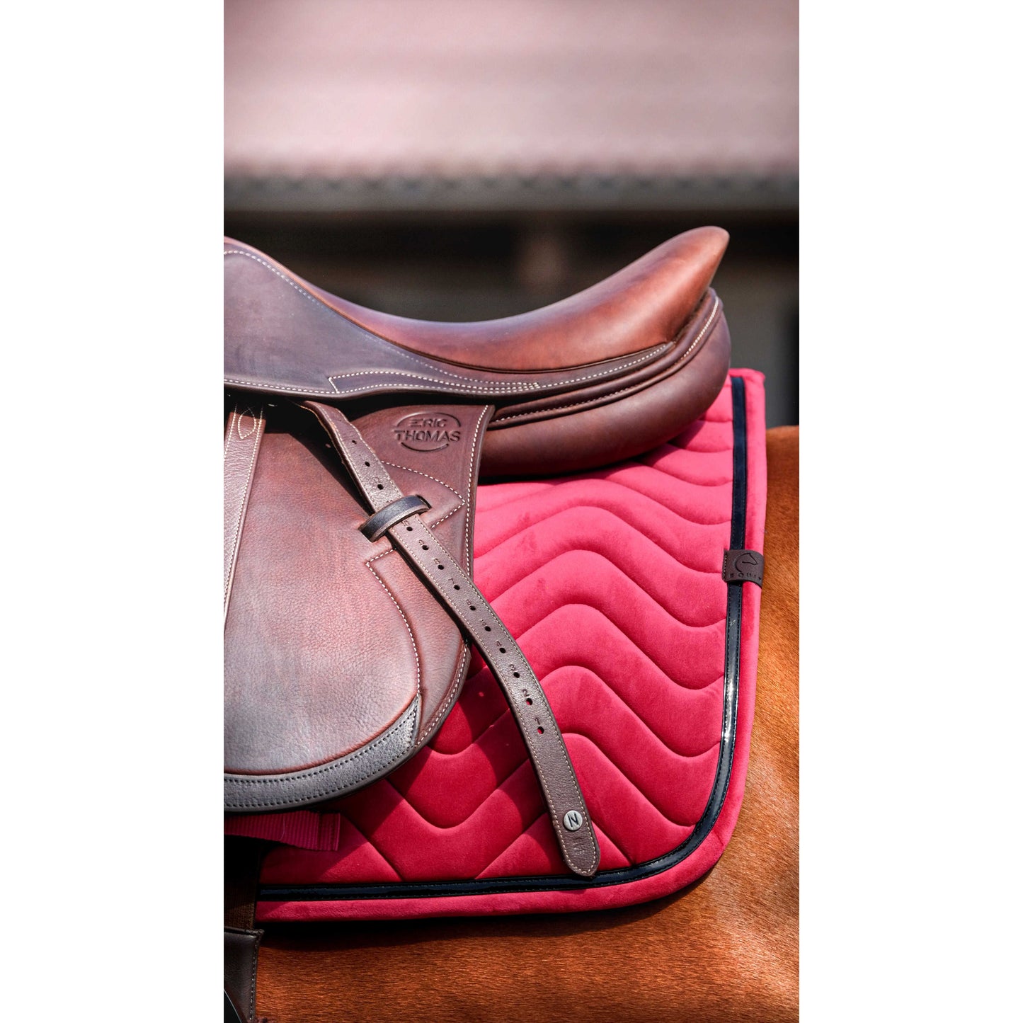 Rosy Brown EQUITHÈME Schabracke - Glossy - VS