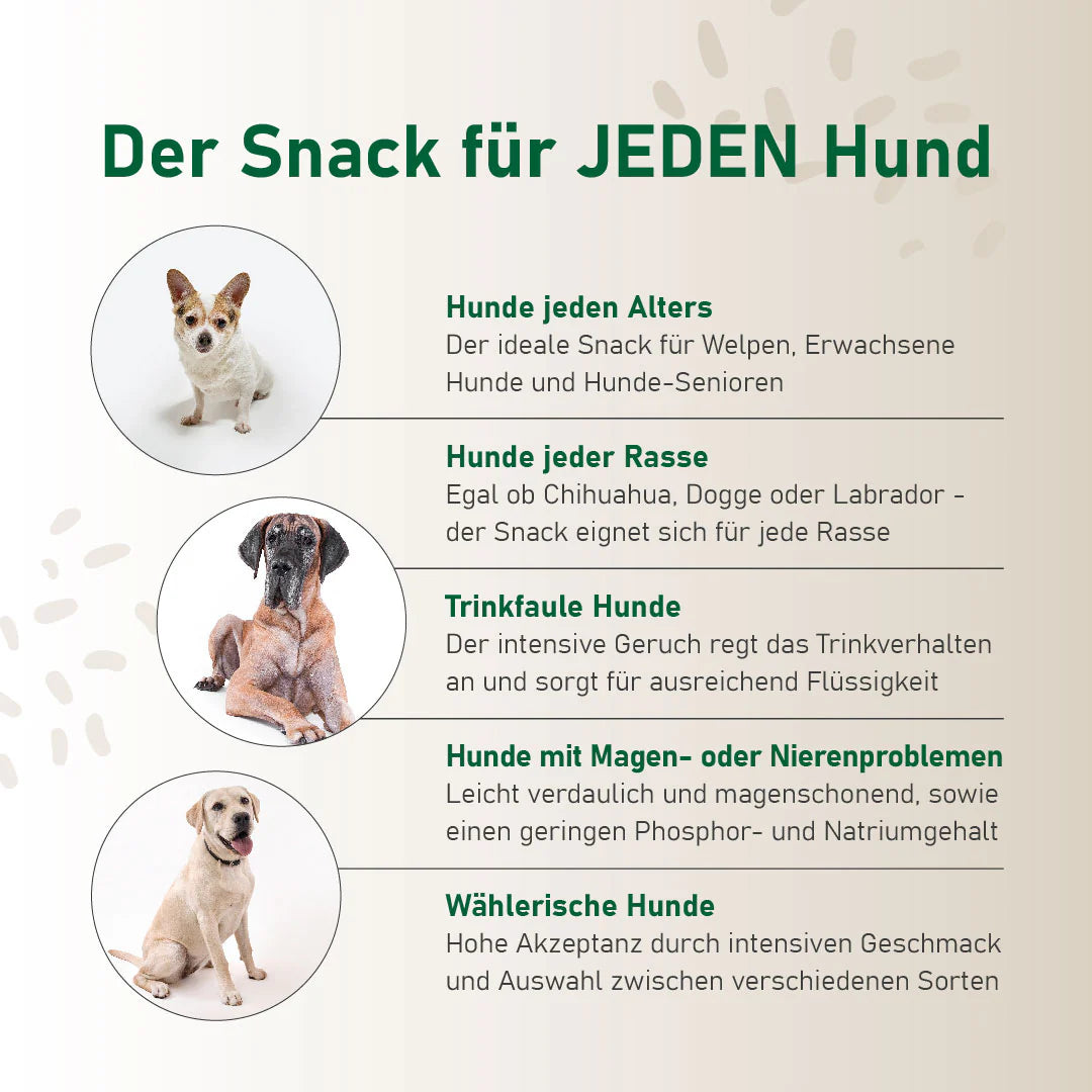 Hundesmoothie Rind