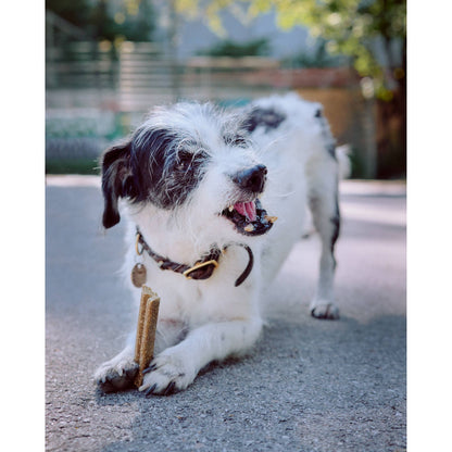 VEGDOG MOBILITIES 115g